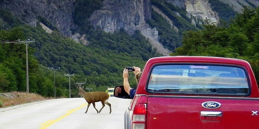 10 sugerencias para venir en Auto
