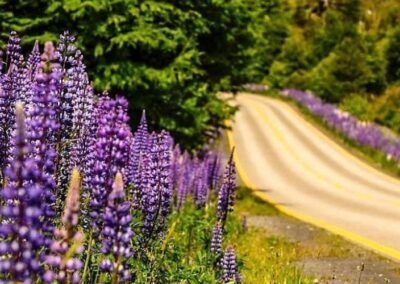 Carretera Austral en Auto
