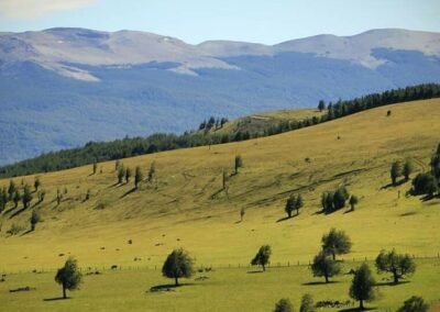 Valle Simpson Coyhaique