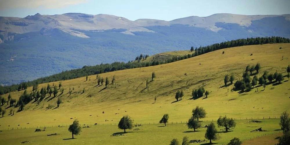 Valle Simpson Coyhaique