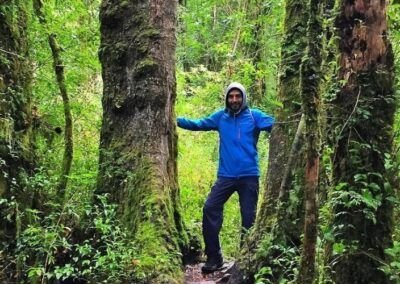 Sendero Chucao en Raúl Marín Balmaceda