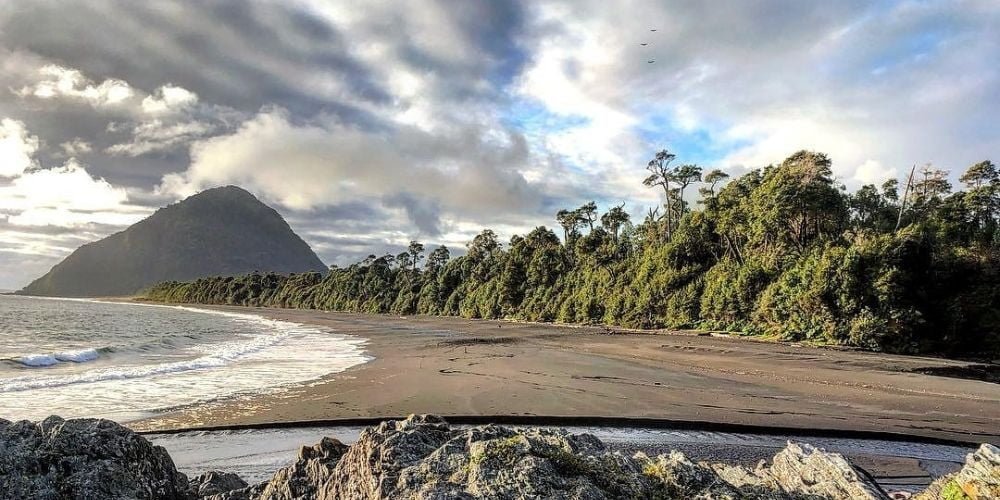 Prevenir incendios forestales