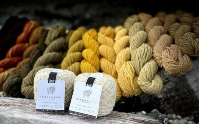 Friendly Wool: Una Lana sustentable