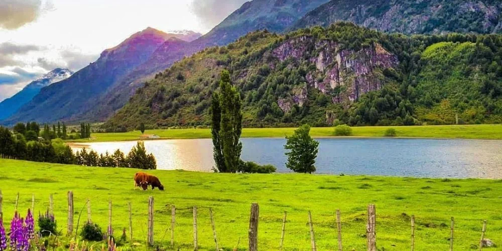 Mañihuales Mañihuales