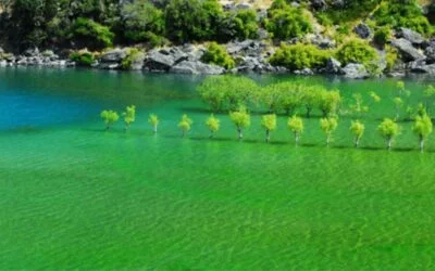 10 razones para visitarnos en Primavera
