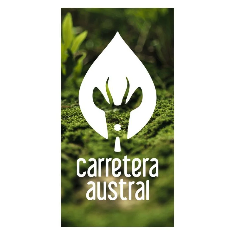 8 Carretera Austral - Musgo