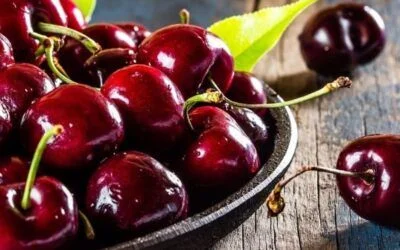Cerezas: Distintivo sabor de Chile Chico