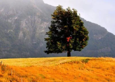 Otoño en Carretera Austral