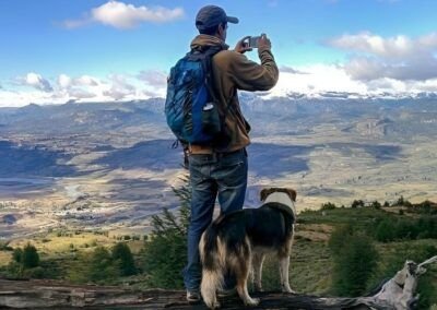 Carretera Austral con tu mascota