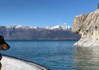 Mascotas en las Capillas de Mármol