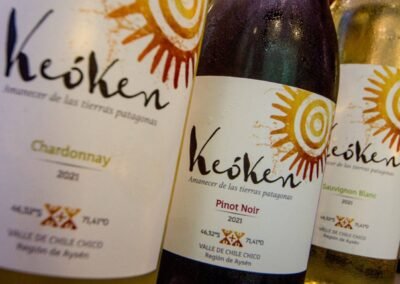 Keoken, el vino más austral del mundo - Chile Chico