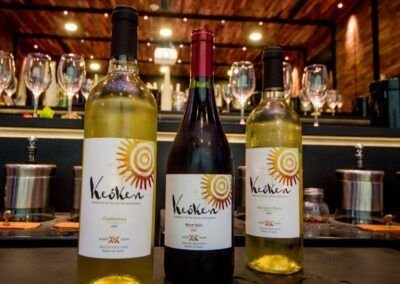 Keoken, el vino más austral del mundo - Chile Chico