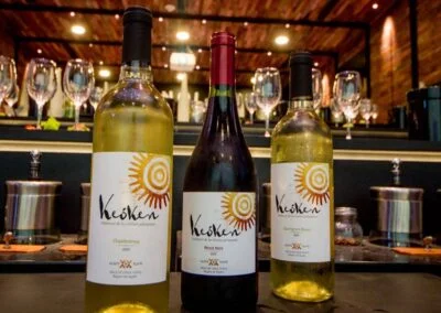 Keoken, el vino más austral del mundo - Chile Chico