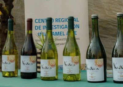 Keoken, el vino más austral del mundo - Chile Chico