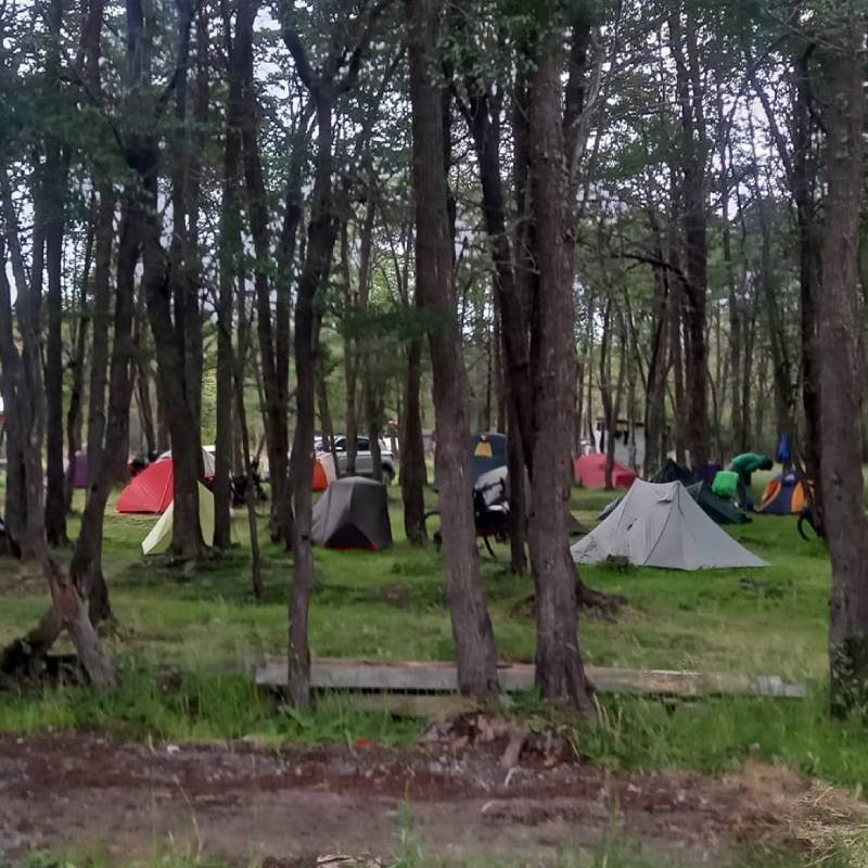 Albergue & Camping, Los Pioneros - Villa O´Higgins