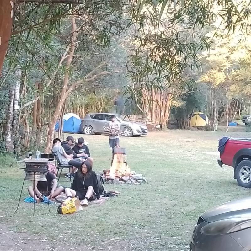 Camping Los Calafates Hornopirén - áreas verdes
