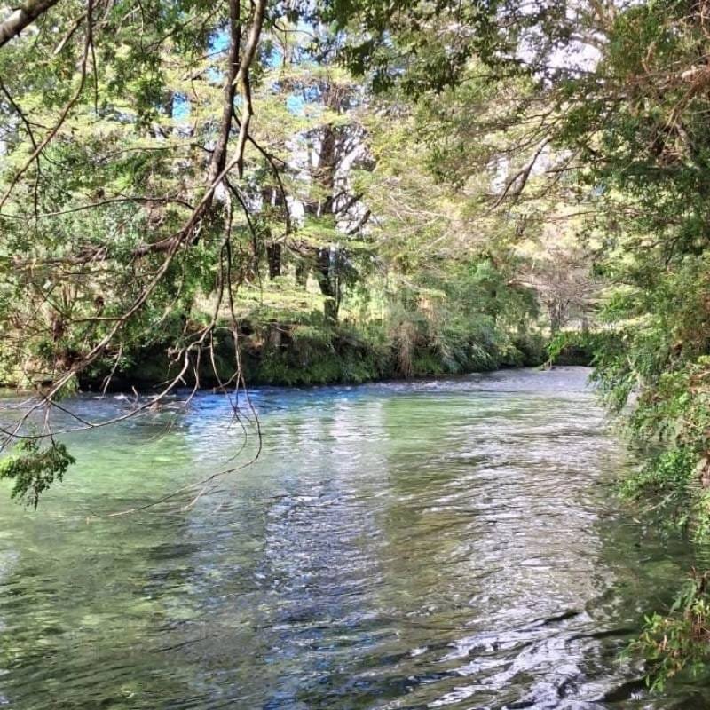 Camping Los Calafates Hornopirén - tranquilidad y naturaleza