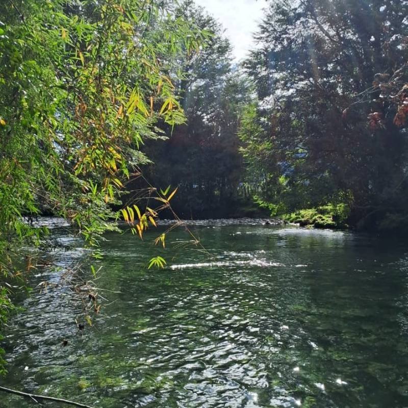 Camping Los Calafates Hornopirén - sector de descanso