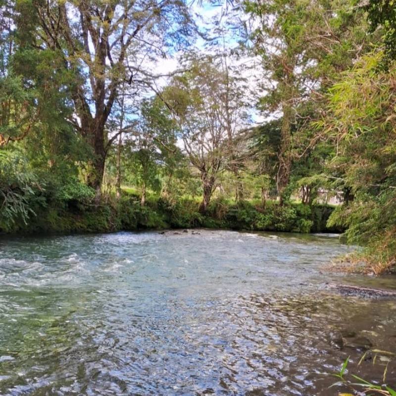 Camping Los Calafates Hornopirén - paisaje ribereño