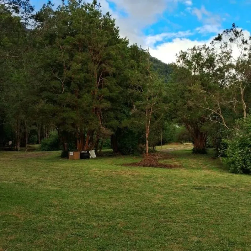 Camping Los Calafates Hornopirén - entorno natural del camping