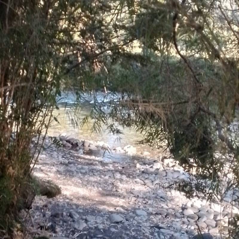 Camping Los Calafates Hornopirén - áreas de camping