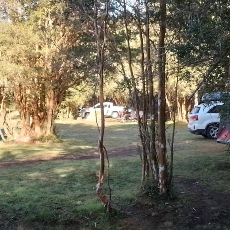 Camping Los Calafates Hornopirén - paisaje natural