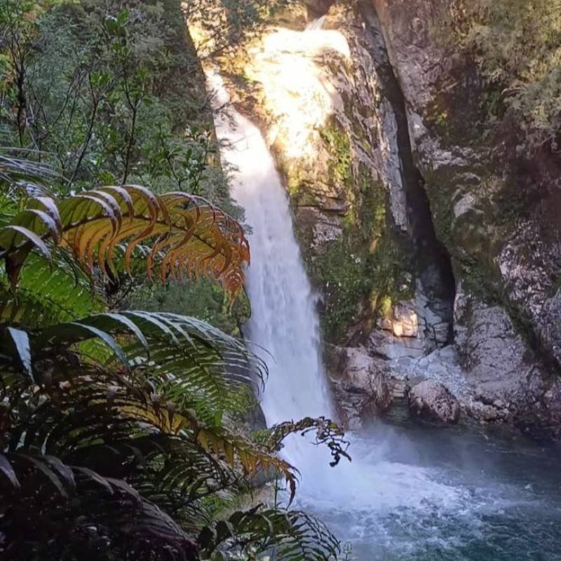 Parque Queulat Kemshash Coyhaique 2