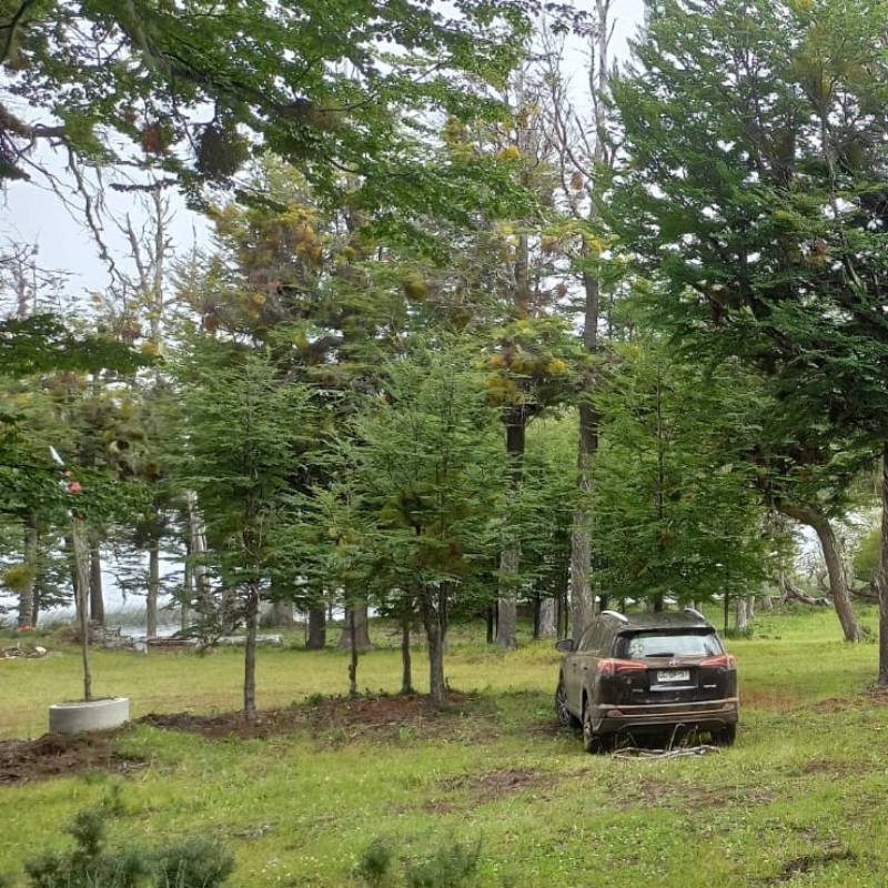 Tour 4 Lagos Kemshash Coyhaique 3