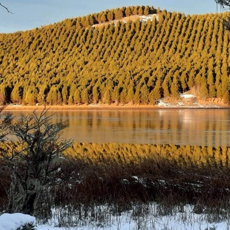 Tour 4 Lagos Kemshash Coyhaique 4