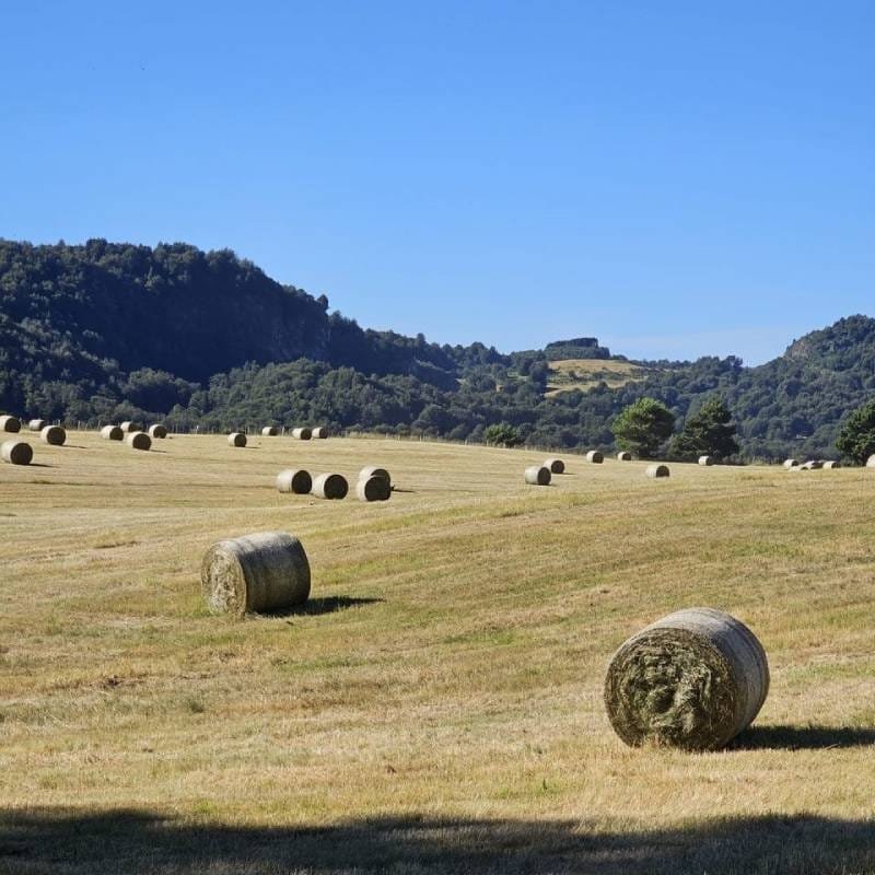 Tour 6 Lagunas Kemshash Coyhaique 6