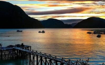 Carretera Austral en Mayo