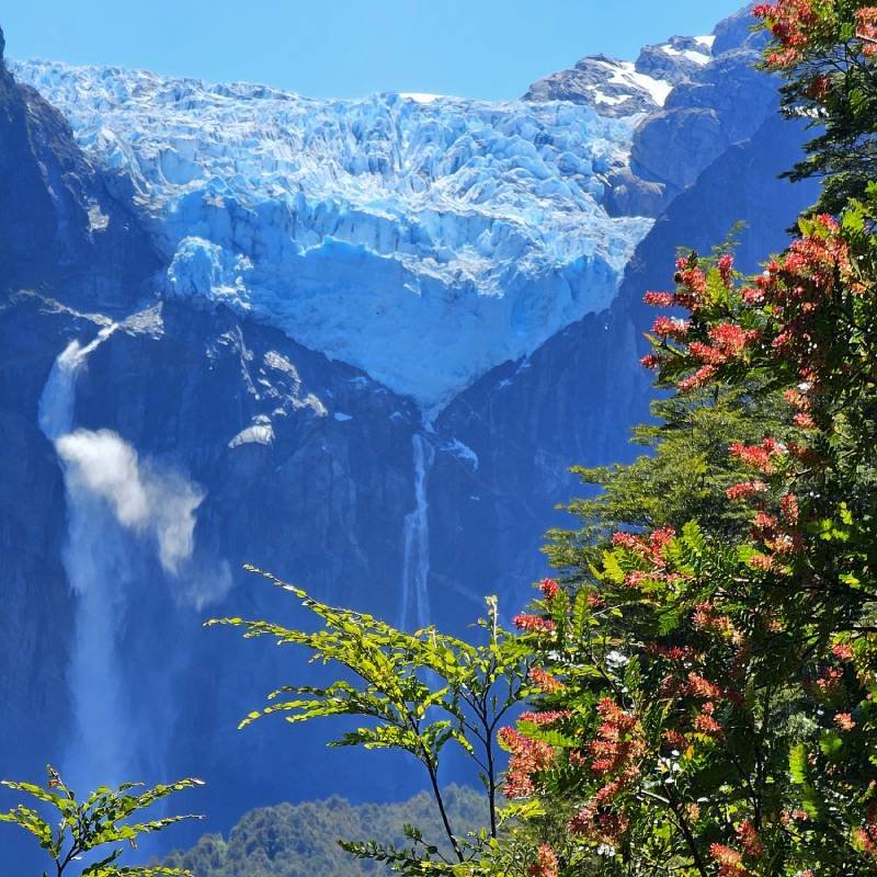Cantaria Austral - Tour Parque Nacional Queulat