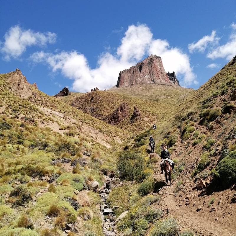 Roca Pampa - Chile Chico