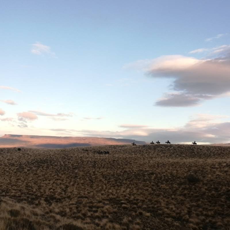 Roca Pampa - Chile Chico