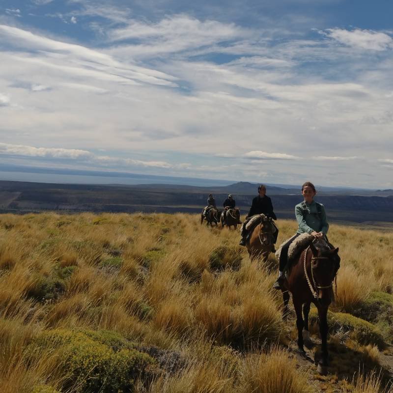 Roca Pampa - Chile Chico