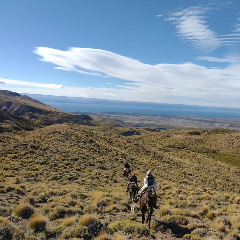 Roca Pampa - Chile Chico