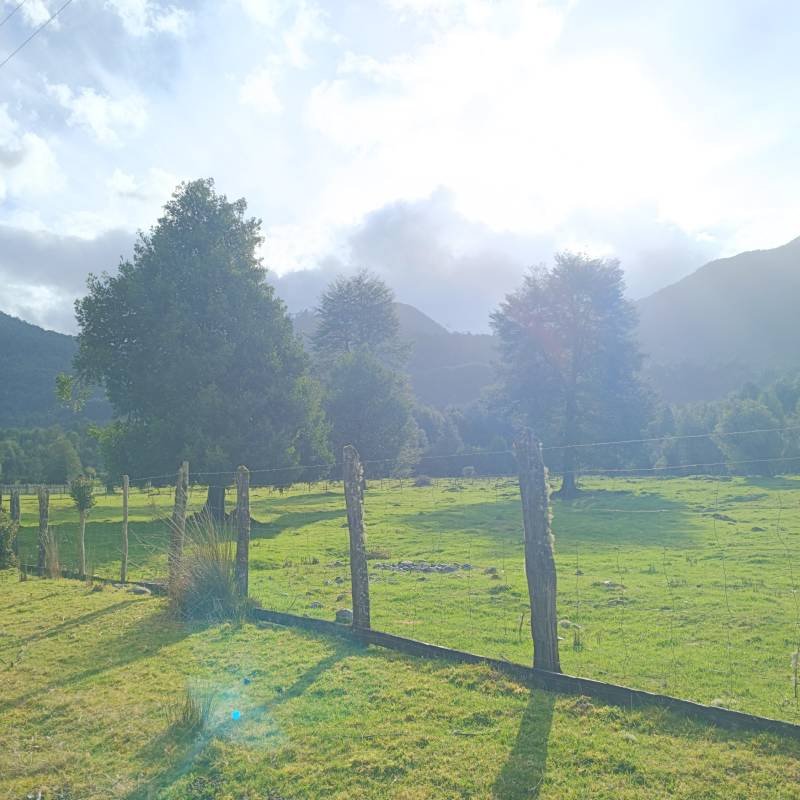 El Rincón del Asador - La Junta