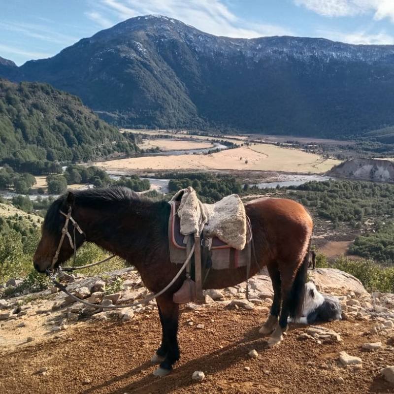 Cabalgatas El Canelo - Villa Amengual