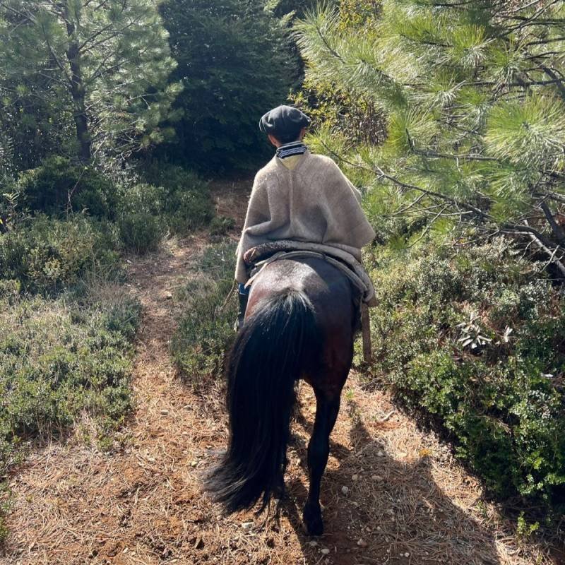 Cabalgatas El Canelo - Villa Amengual
