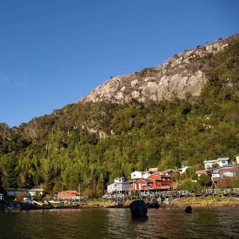 Témpanos del Sur – Carretera Austral 1