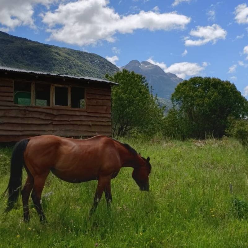 Refugio Siete Robles Río Mañihuales
