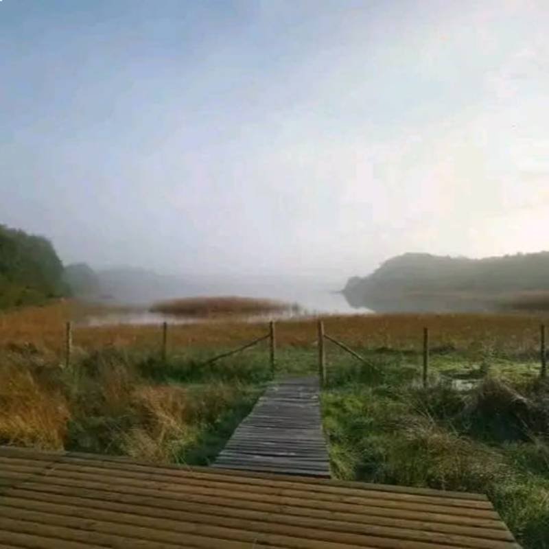 Pasarela Rolecha - Hornopirén