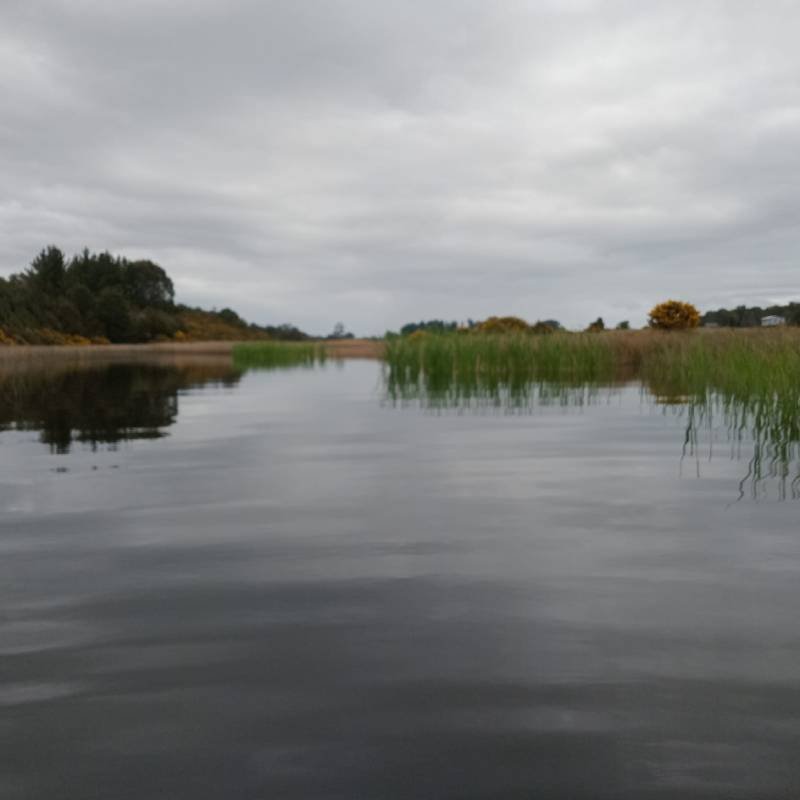 Pasarela Rolecha - Hornopirén