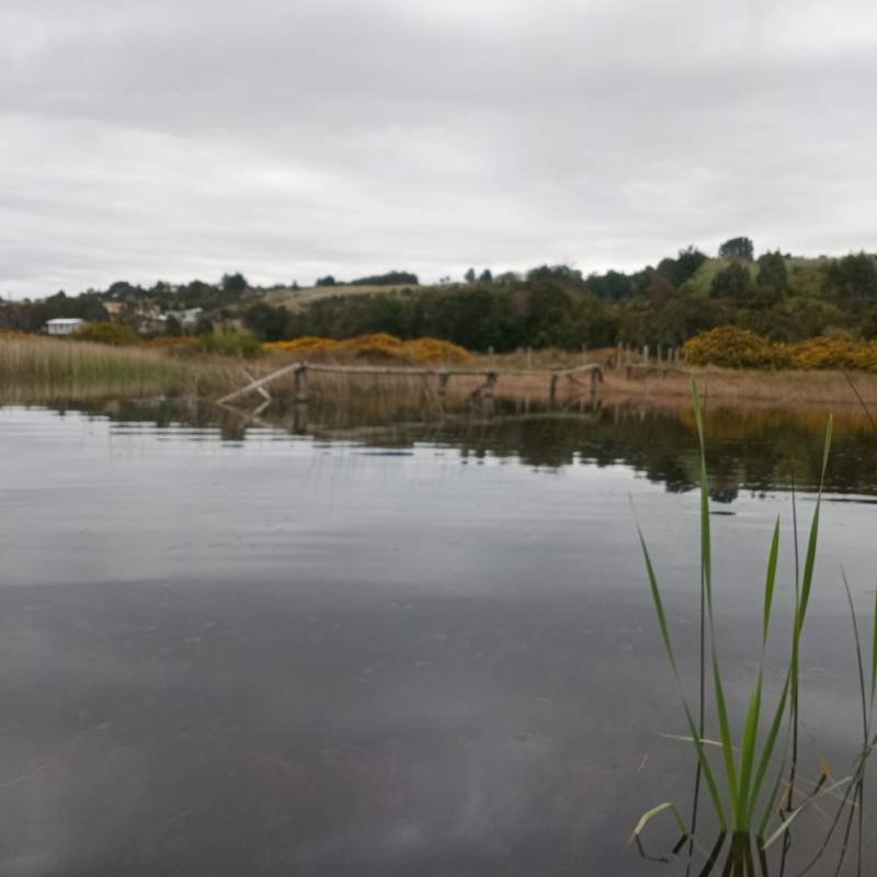 Pasarela Rolecha - Hornopirén
