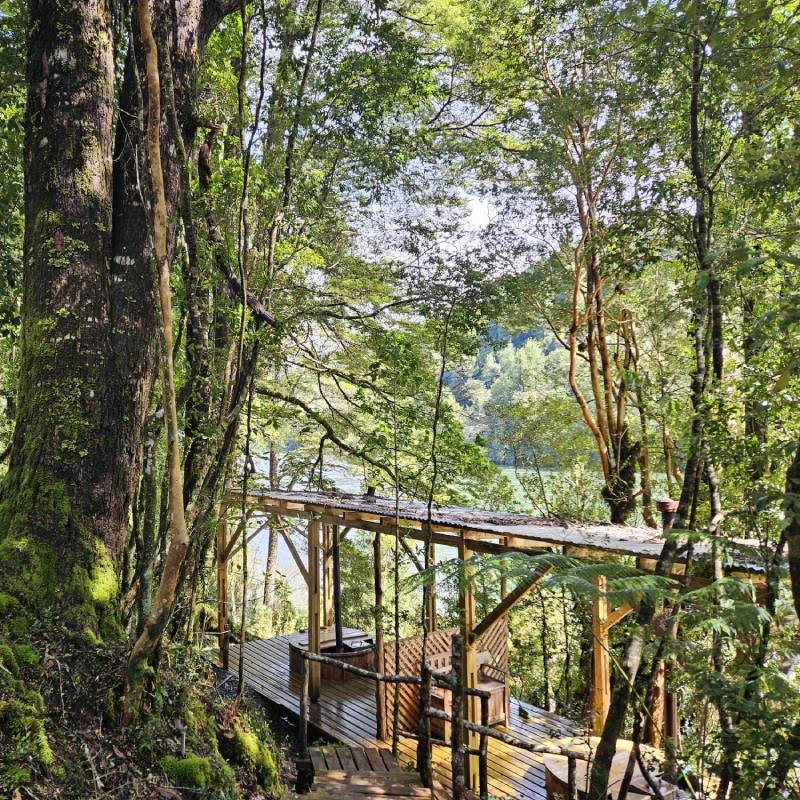 Tinajas El Mañío La Junta - tinajas de madera