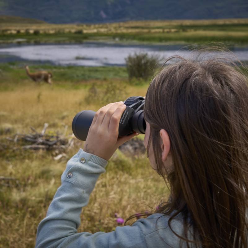 Parque Nacional Patagonia recorrido