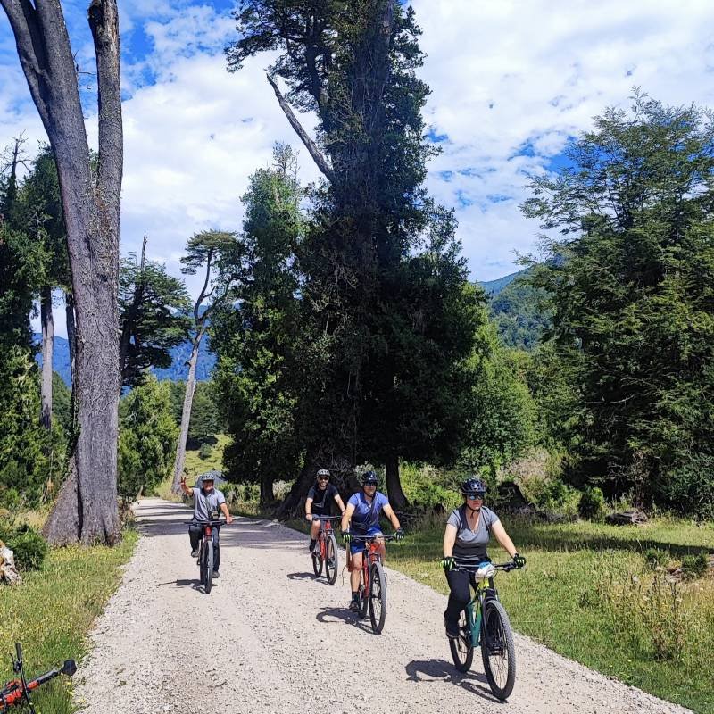 Arriendo de bicicletas Experiencia Brava en Coyhaique 6