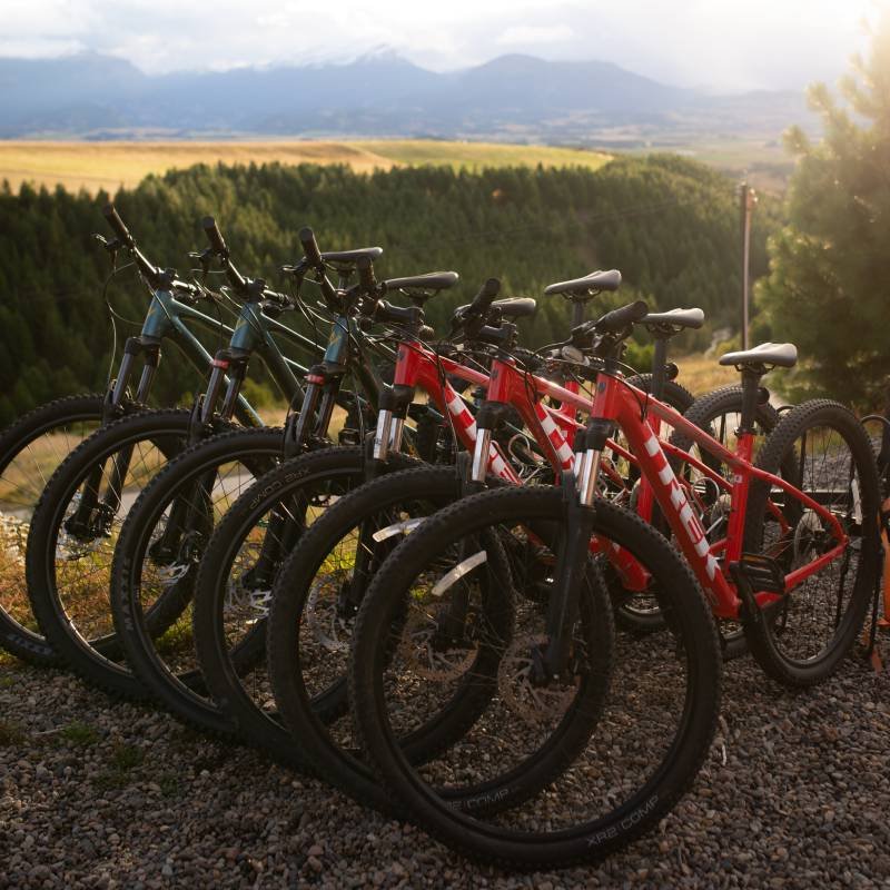 Arriendo de bicicletas Experiencia Brava en Coyhaique 7