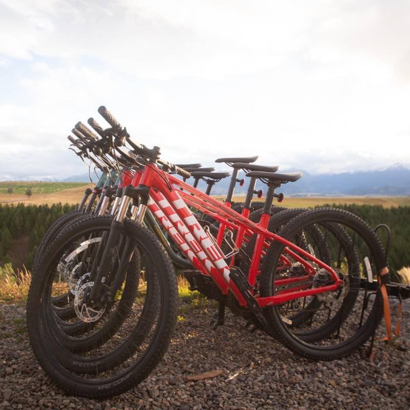 Arriendo de bicicletas Experiencia Brava en Coyhaique 8