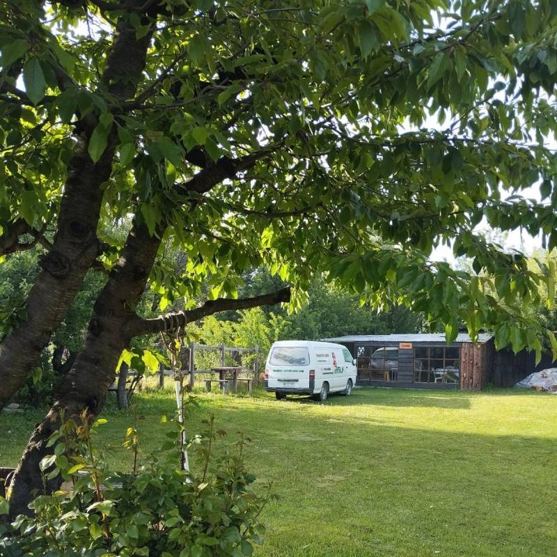 Camping y Hostel Cochrane - imagen 11